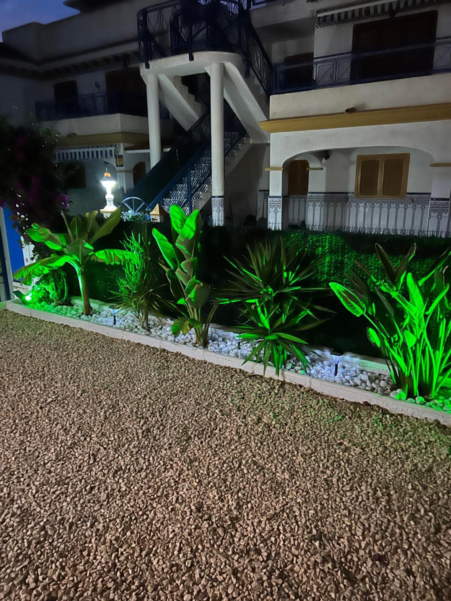 Acogedor Apartamento En La Playa ベラ エクステリア 写真